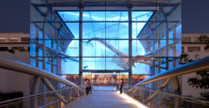 Project by CO Architects